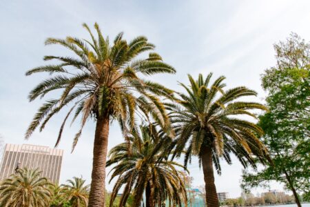 How to Get Your House Sold Fast in Orlando, FL