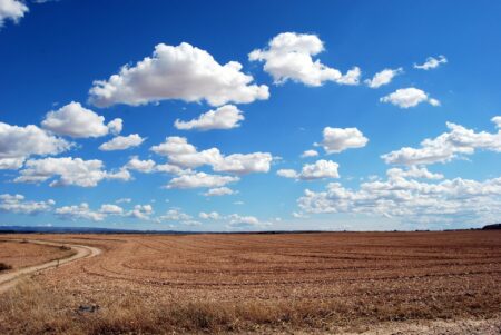 3 Things to Know About Buying Rural Land