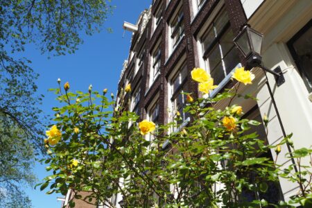 Renting vs. Buying: Can Renters Still Build Wealth?