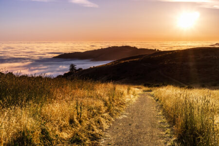 What’s it Like to Live in Watsonville, CA?&nbsp;
