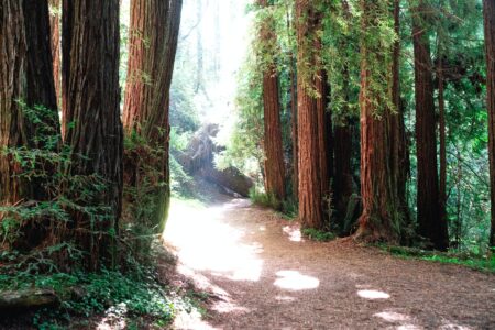 What Locals Love About Aptos, CA