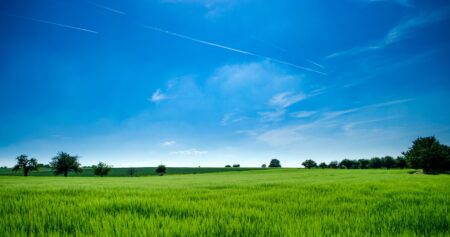 Unlock the Potential: A Comprehensive Guide to Selling Land