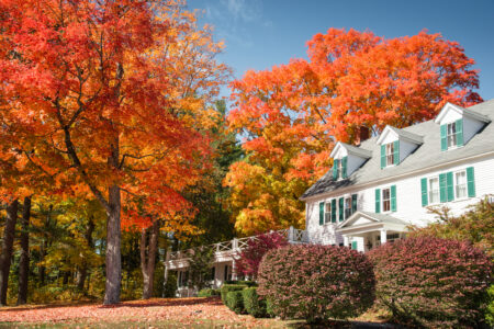 Agent Advice: Should I Wait Until Fall to Sell My House?