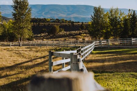 How to Buy a Ranch Property: What Buyers Often Overlook